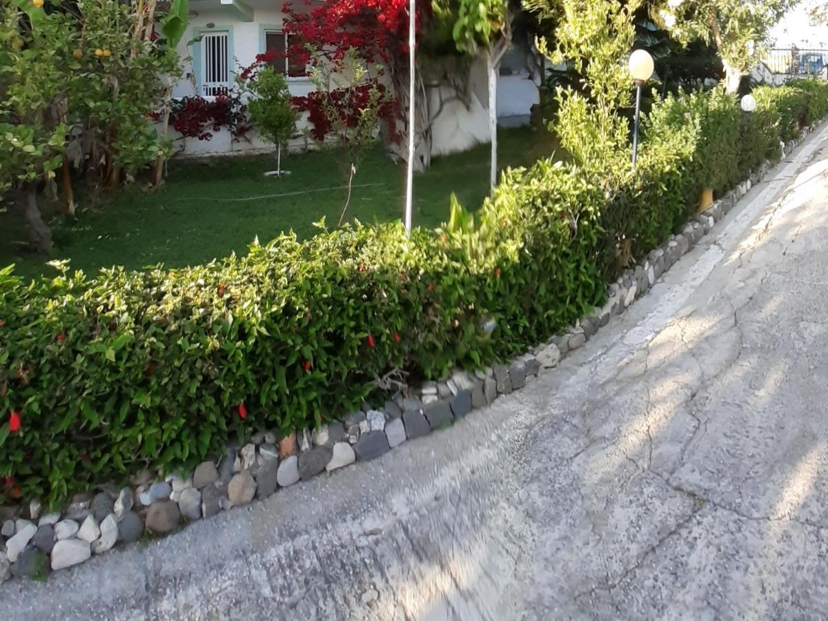 Zikas Apartments Marmari  Bagian luar foto